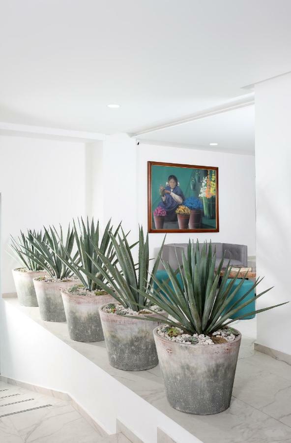 Hotel Circulo Condesa 墨西哥城 外观 照片
